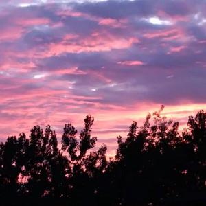 女人自己扒荫道让男人添小说
