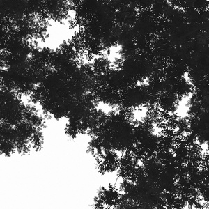 女人自己扒荫道让男人添小说
